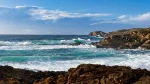 Climate change has caused record temperatures in waters around Europe